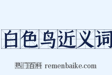 白色鸟近义词是什么意思的图片
